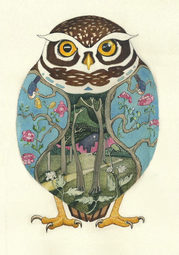Little Owl